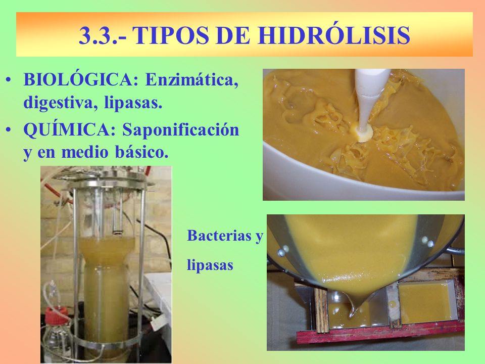 3.3.- TIPOS DE HIDRÓLISIS BIOLÓGICA: Enzimática, digestiva, lipasas.