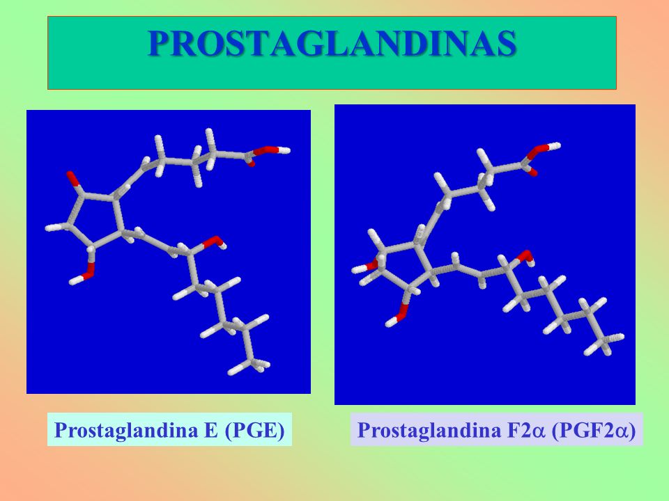 PROSTAGLANDINAS Prostaglandina E (PGE) Prostaglandina F2a (PGF2a)