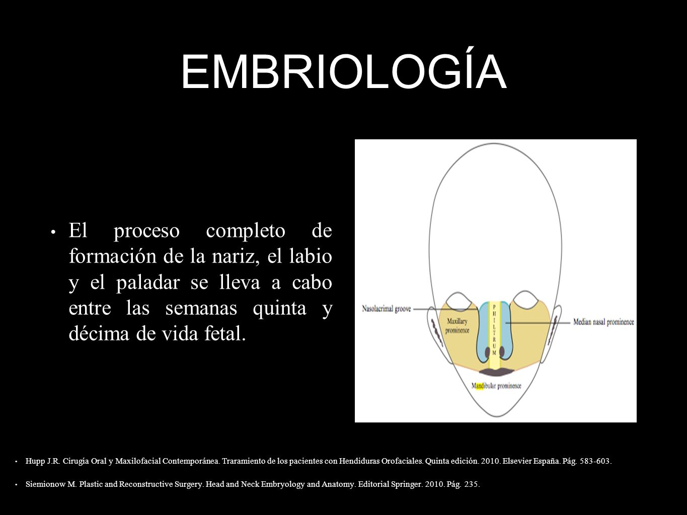 EMBRIOLOGÍA El proceso completo de formación de la nariz, el labio y el paladar se lleva a cabo entre las semanas quinta y décima de vida fetal.