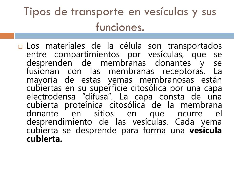 Tipos de transporte en vesículas y sus funciones.