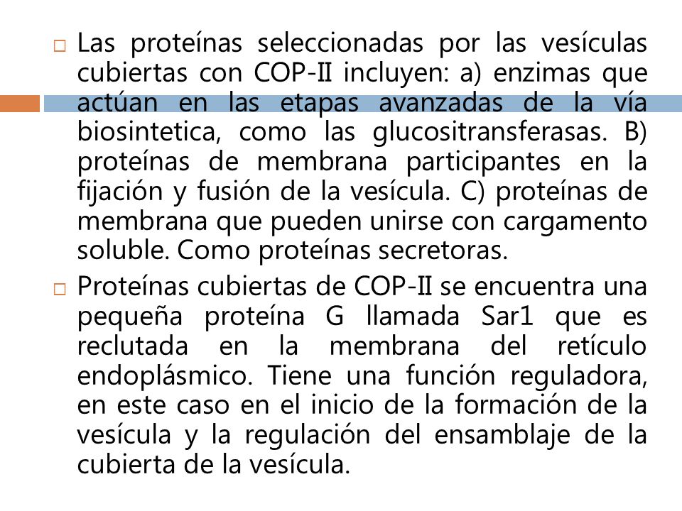 Las proteínas seleccionadas por las vesículas cubiertas con COP-II incluyen: a) enzimas que actúan en las etapas avanzadas de la vía biosintetica, como las glucositransferasas. B) proteínas de membrana participantes en la fijación y fusión de la vesícula. C) proteínas de membrana que pueden unirse con cargamento soluble. Como proteínas secretoras.