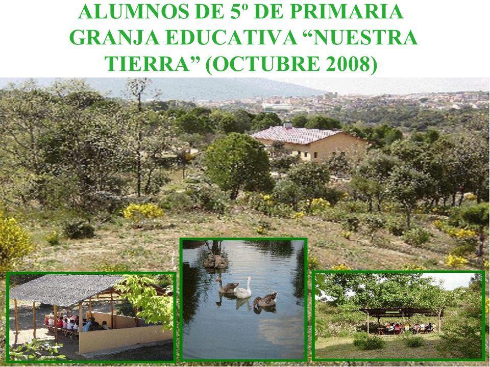 ALUMNOS DE 5º DE PRIMARIA GRANJA EDUCATIVA NUESTRA TIERRA (OCTUBRE 2008)