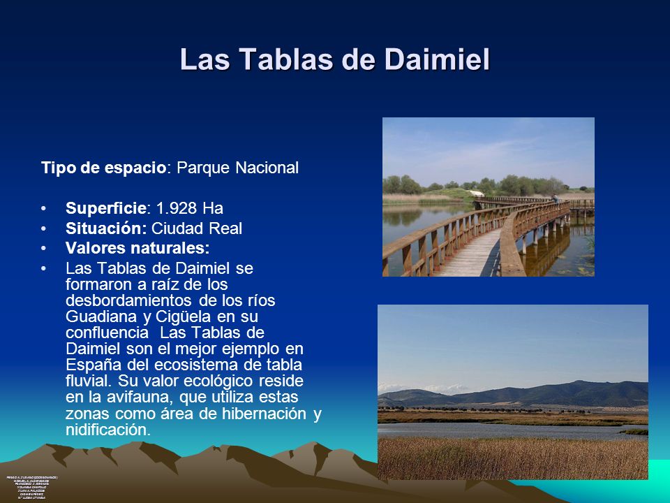 Las Tablas de Daimiel Tipo de espacio: Parque Nacional
