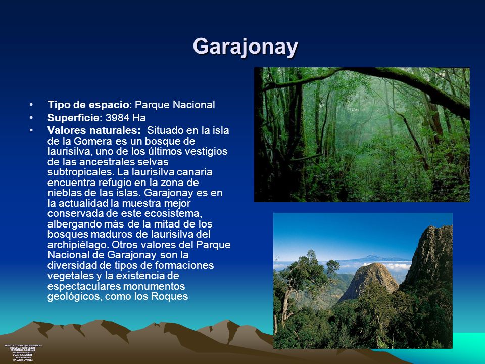 Garajonay Tipo de espacio: Parque Nacional Superficie: 3984 Ha