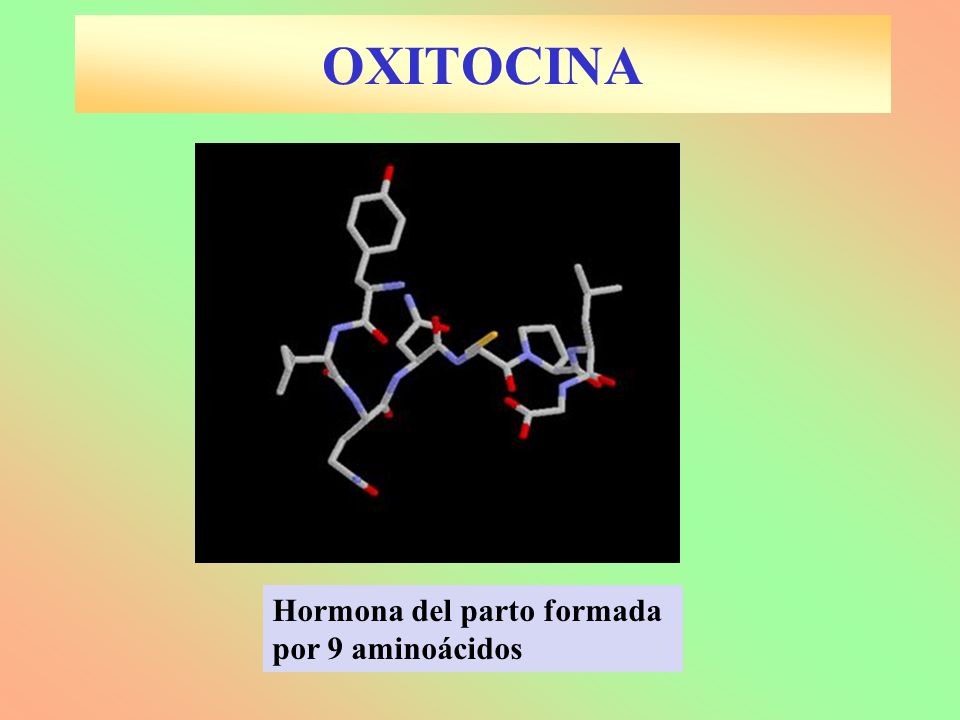 OXITOCINA Hormona del parto formada por 9 aminoácidos