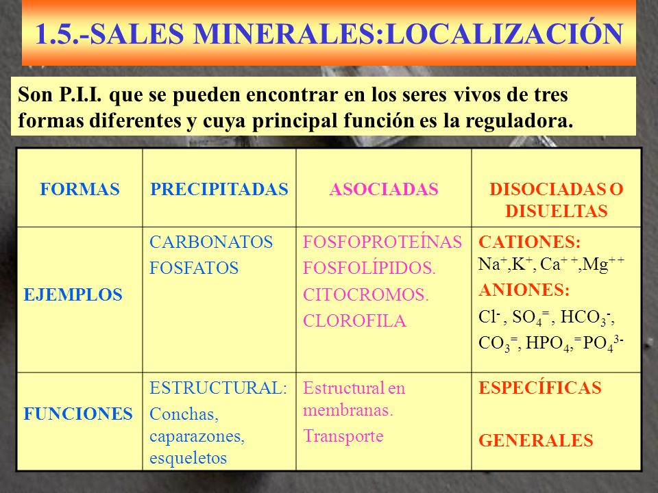 1.5.-SALES MINERALES:LOCALIZACIÓN