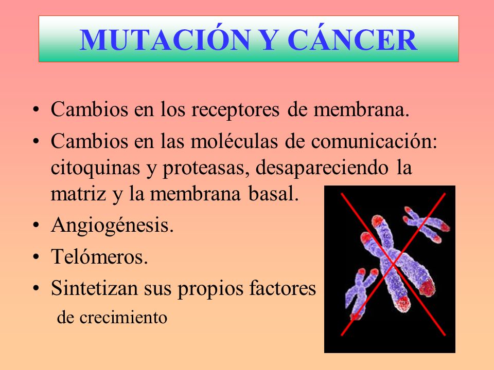 MUTACIÓN Y CÁNCER Cambios en los receptores de membrana.
