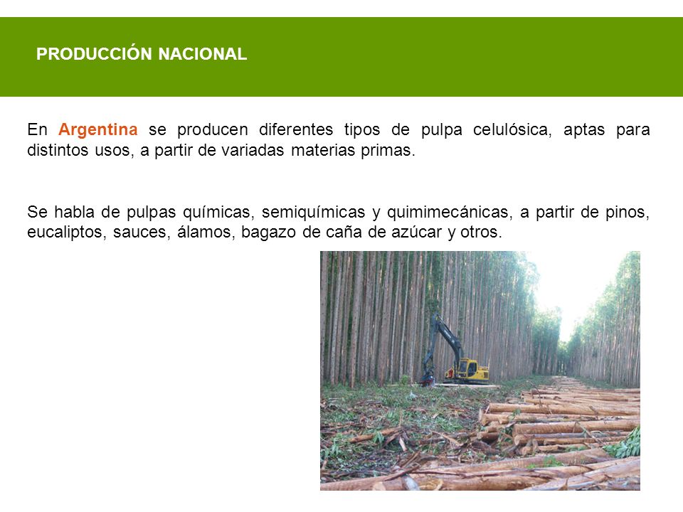 PRODUCCIÓN NACIONAL En Argentina se producen diferentes tipos de pulpa celulósica, aptas para distintos usos, a partir de variadas materias primas.