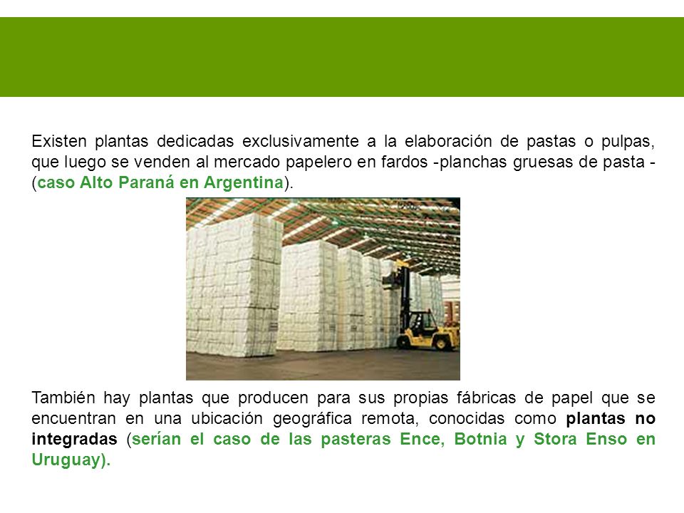 Existen plantas dedicadas exclusivamente a la elaboración de pastas o pulpas, que luego se venden al mercado papelero en fardos -planchas gruesas de pasta -(caso Alto Paraná en Argentina).