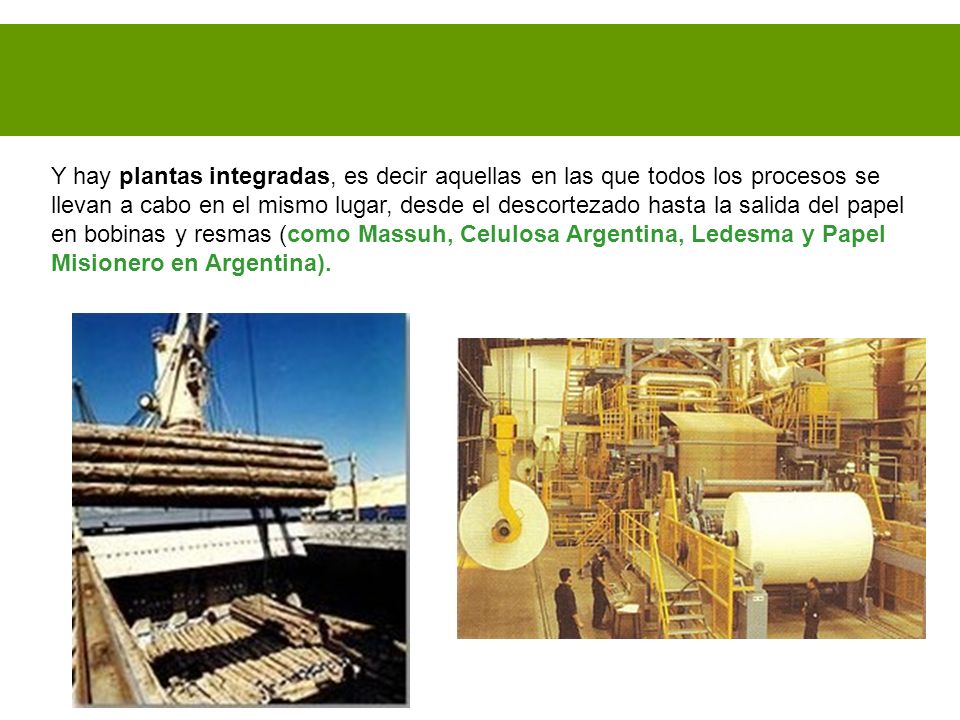 Y hay plantas integradas, es decir aquellas en las que todos los procesos se llevan a cabo en el mismo lugar, desde el descortezado hasta la salida del papel en bobinas y resmas (como Massuh, Celulosa Argentina, Ledesma y Papel Misionero en Argentina).