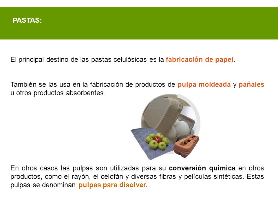 PASTAS: El principal destino de las pastas celulósicas es la fabricación de papel.