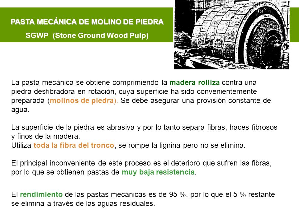 PASTA MECÁNICA DE MOLINO DE PIEDRA SGWP (Stone Ground Wood Pulp)
