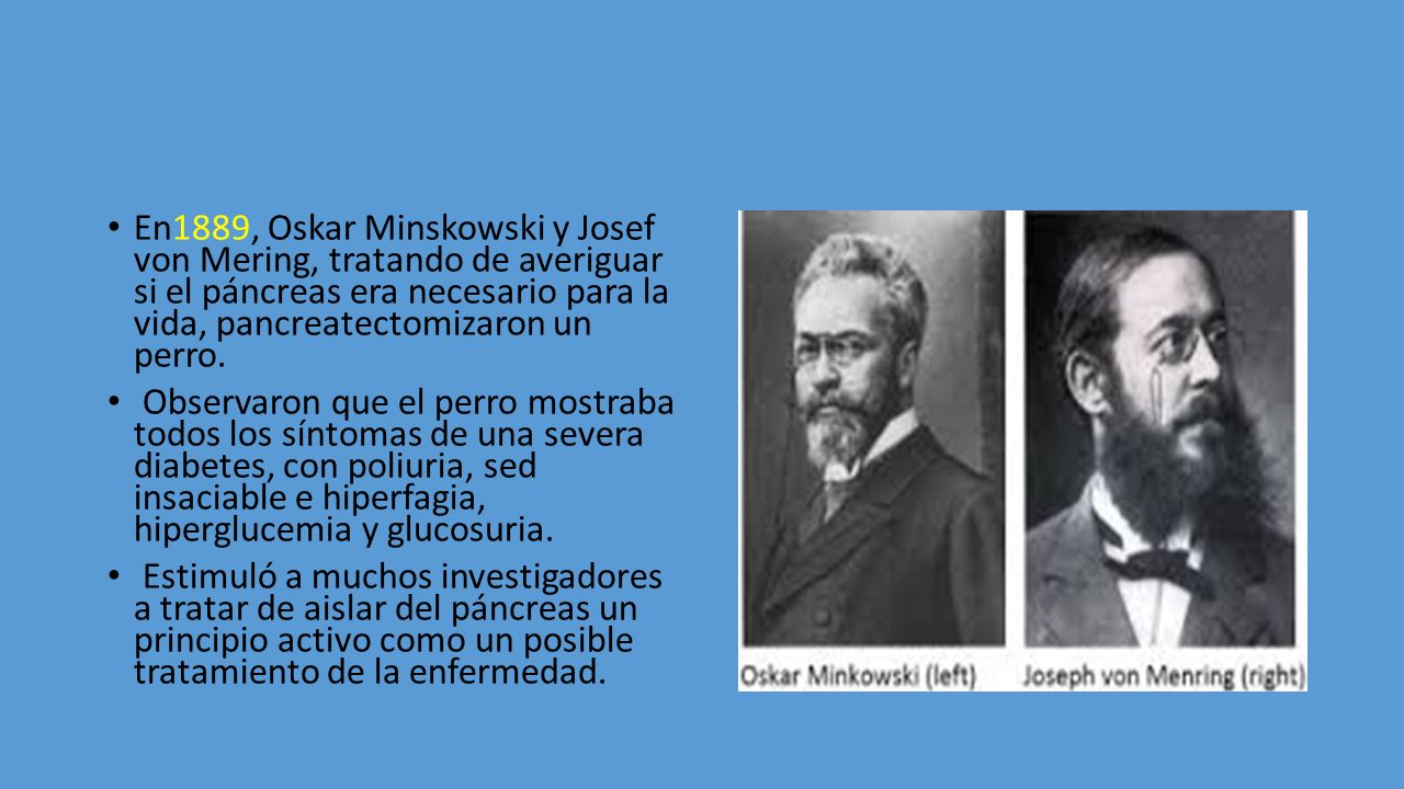En1889, Oskar Minskowski y Josef von Mering, tratando de averiguar si el páncreas era necesario para la vida, pancreatectomizaron un perro.