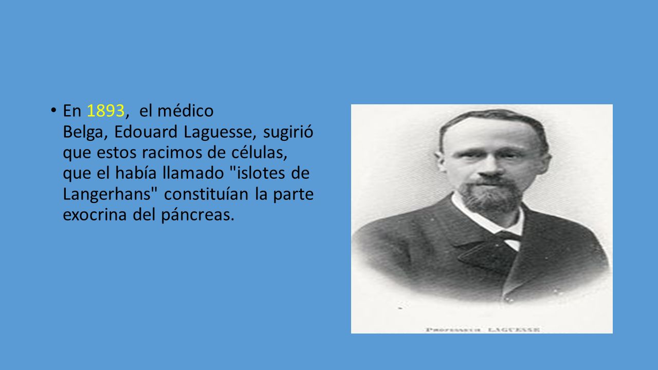 En 1893, el médico Belga, Edouard Laguesse, sugirió que estos racimos de células, que el había llamado islotes de Langerhans constituían la parte exocrina del páncreas.