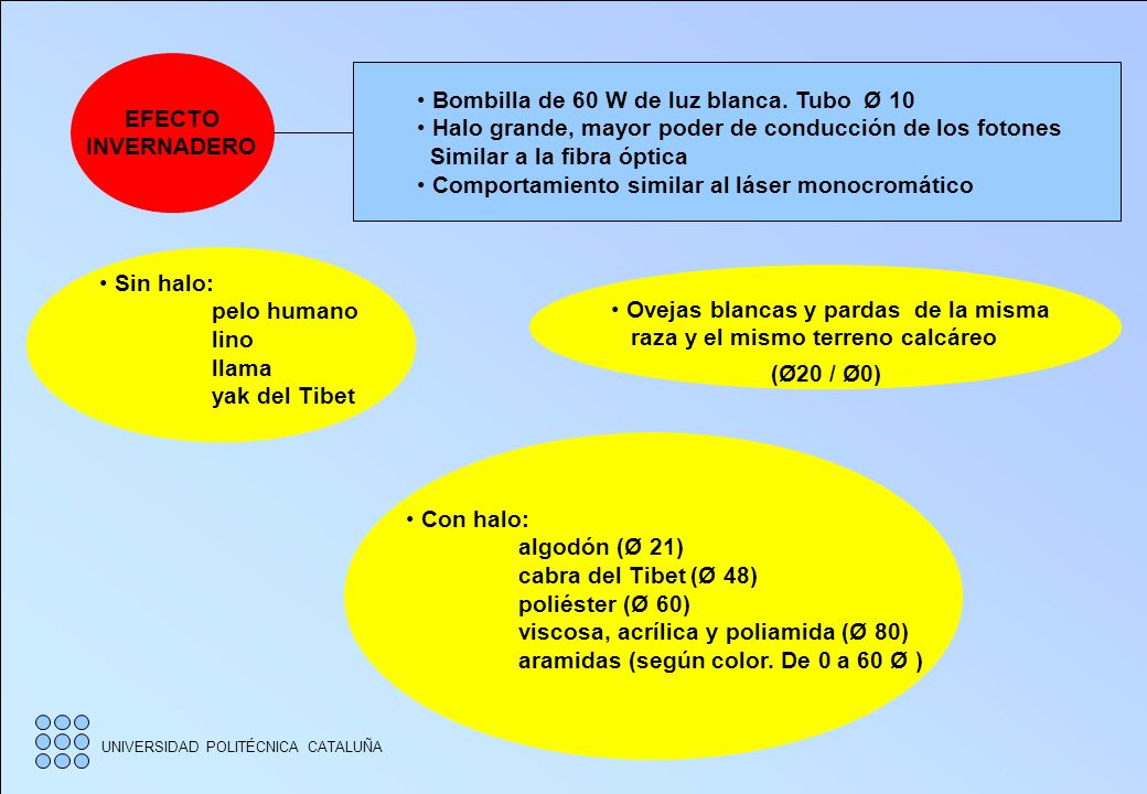 EFECTO INVERNADERO. Bombilla de 60 W de luz blanca. Tubo Ø 10. Halo grande, mayor poder de conducción de los fotones.
