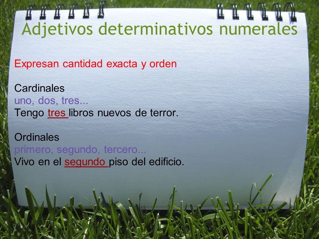 Adjetivos determinativos numerales