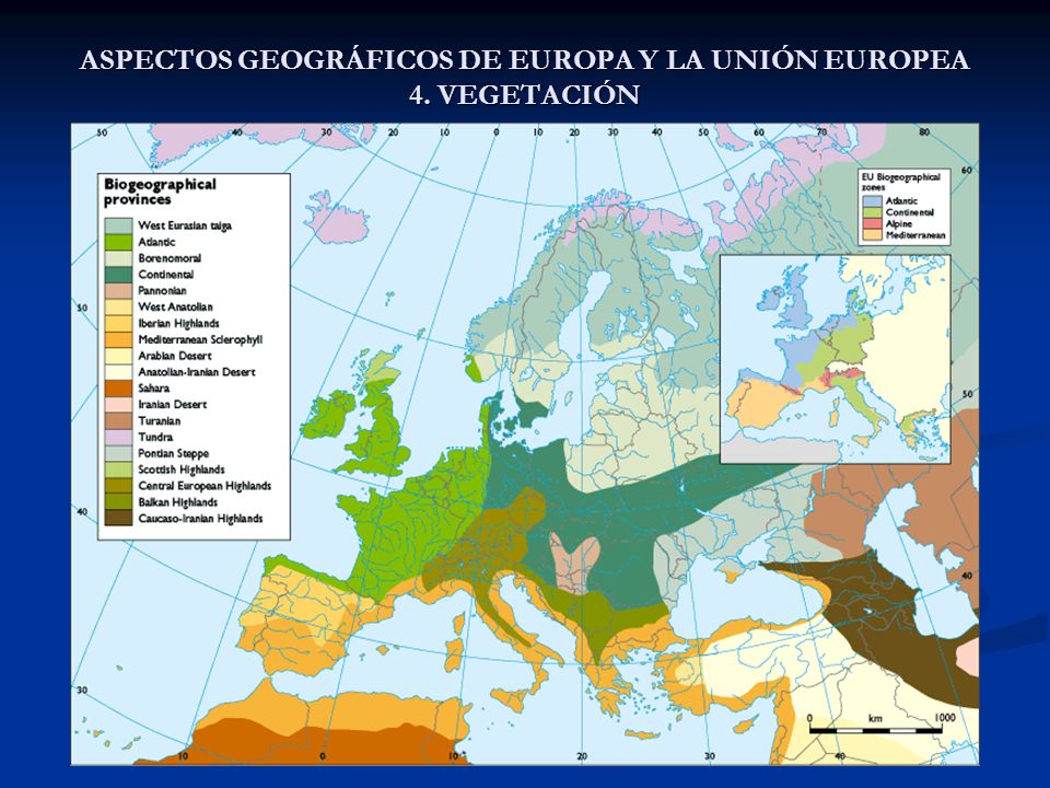 ASPECTOS GEOGRÁFICOS DE EUROPA Y LA UNIÓN EUROPEA 4. VEGETACIÓN