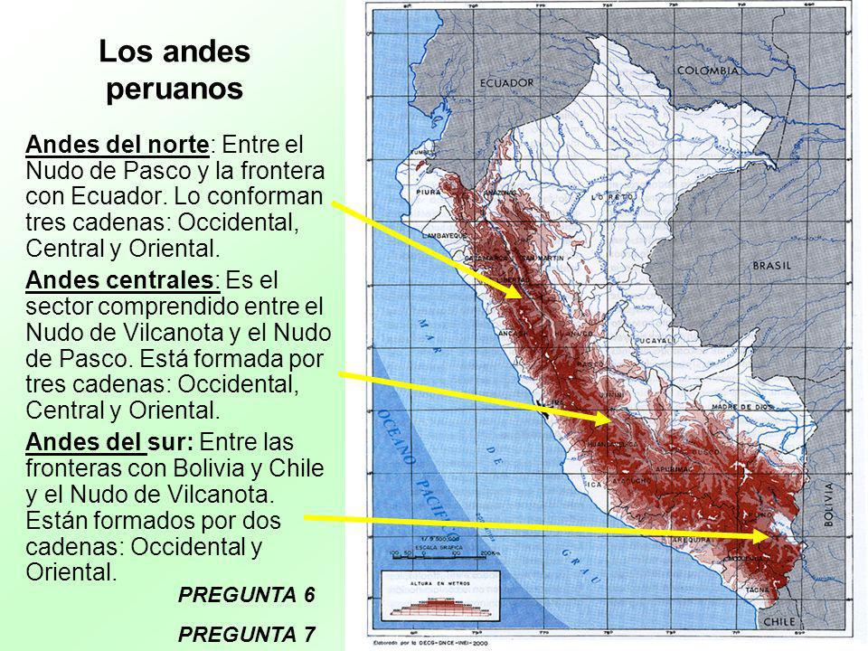 Cordillera de los Andes - Pisos Altitudinales - ppt video online descargar
