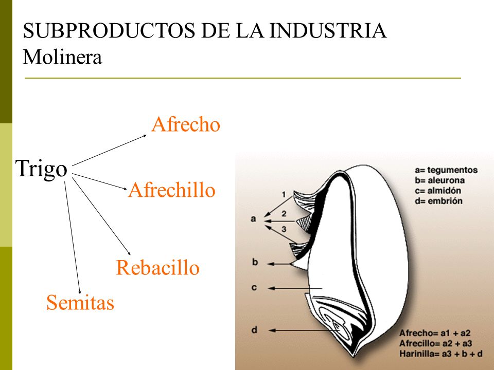 Trigo SUBPRODUCTOS DE LA INDUSTRIA Molinera Afrecho Afrechillo