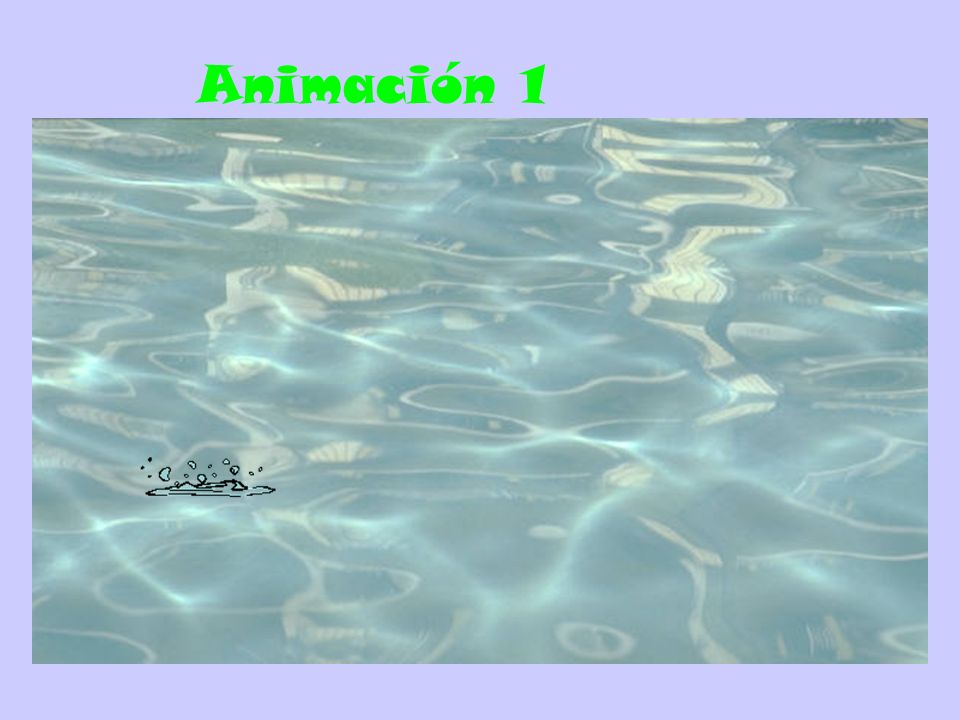 Animación 1