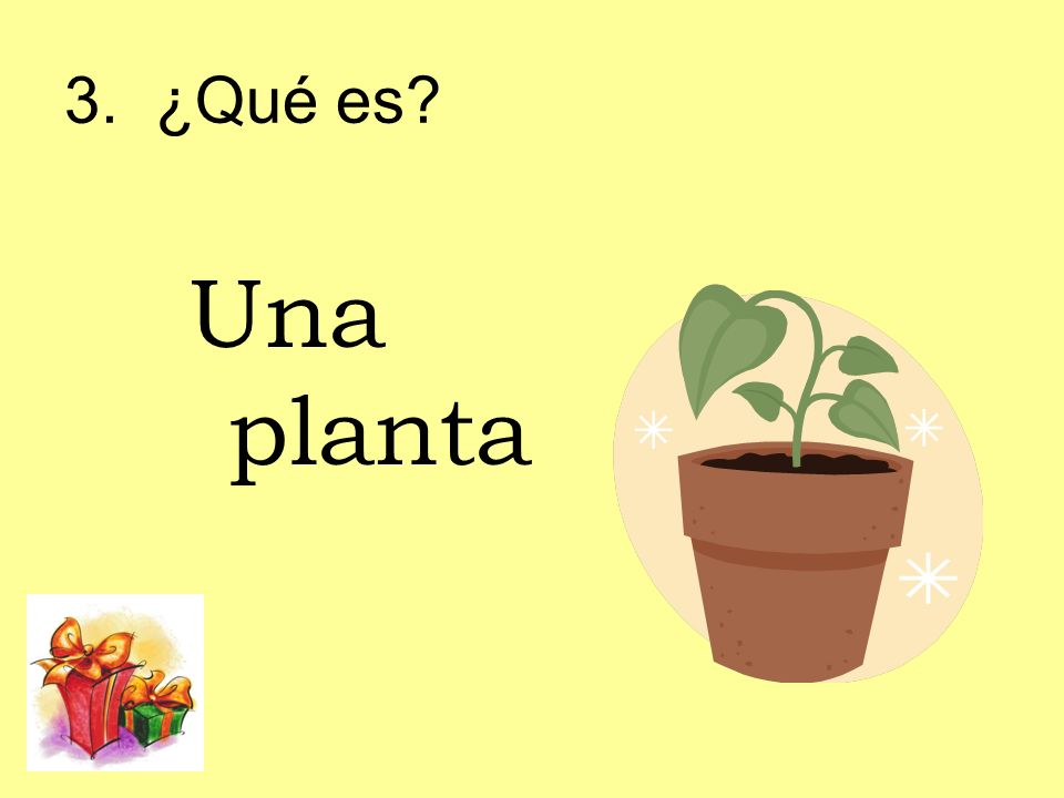 3. ¿Qué es Una planta