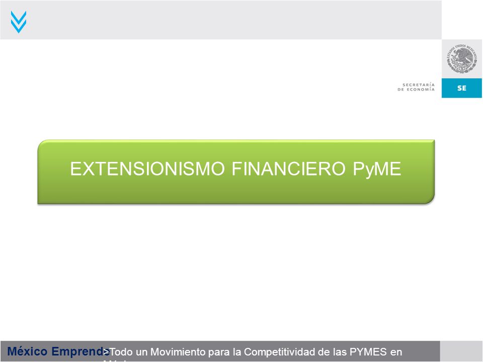 EXTENSIONISMO FINANCIERO PyME