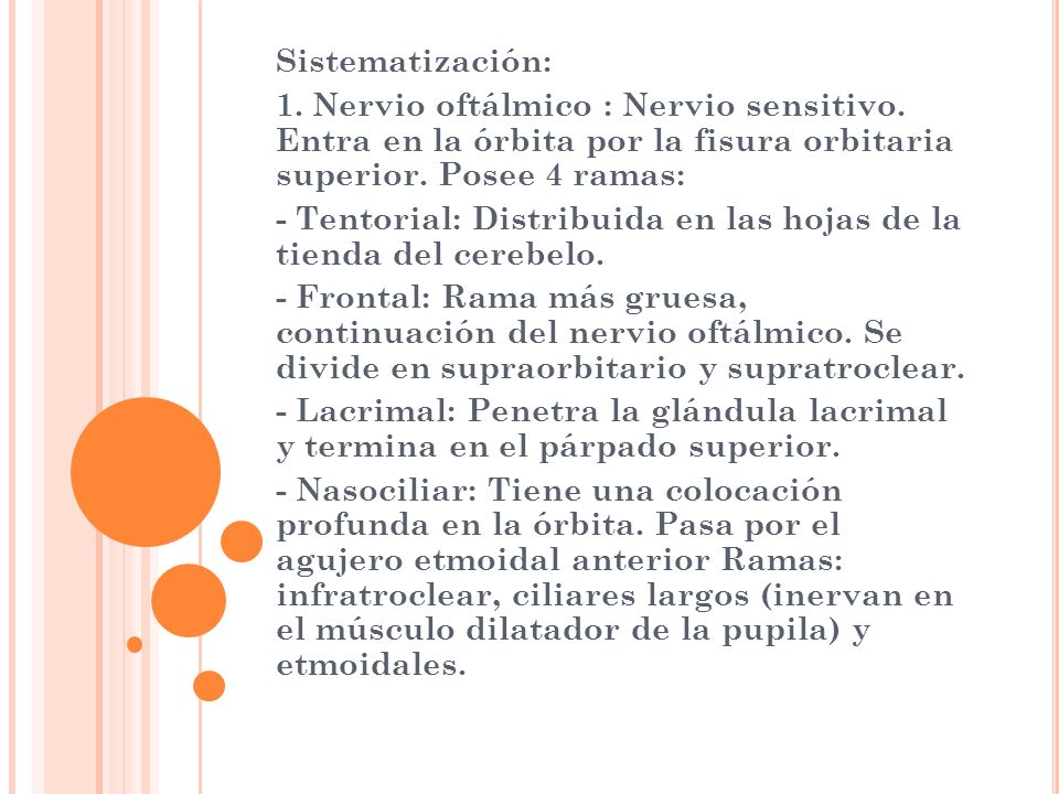 Sistematización: 1. Nervio oftálmico : Nervio sensitivo. Entra en la órbita por la fisura orbitaria superior. Posee 4 ramas: