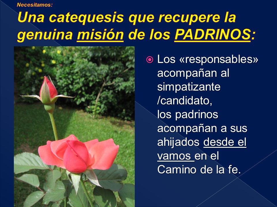 Necesitamos: Una catequesis que recupere la genuina misión de los PADRINOS: