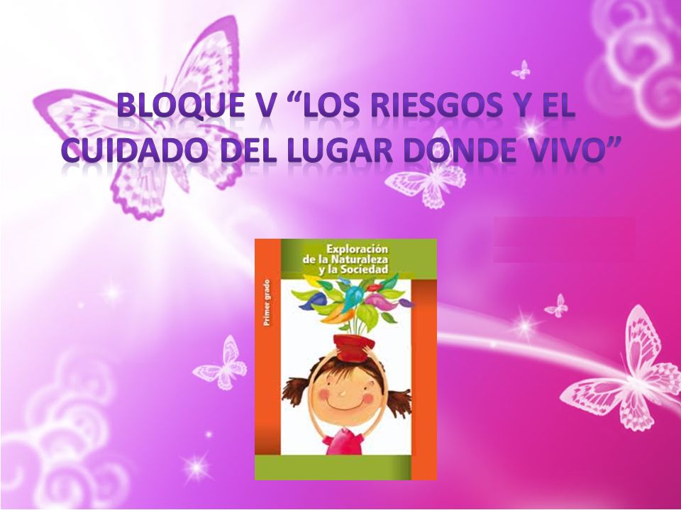 bloque V Los riesgos y el cuidado del lugar donde vivo
