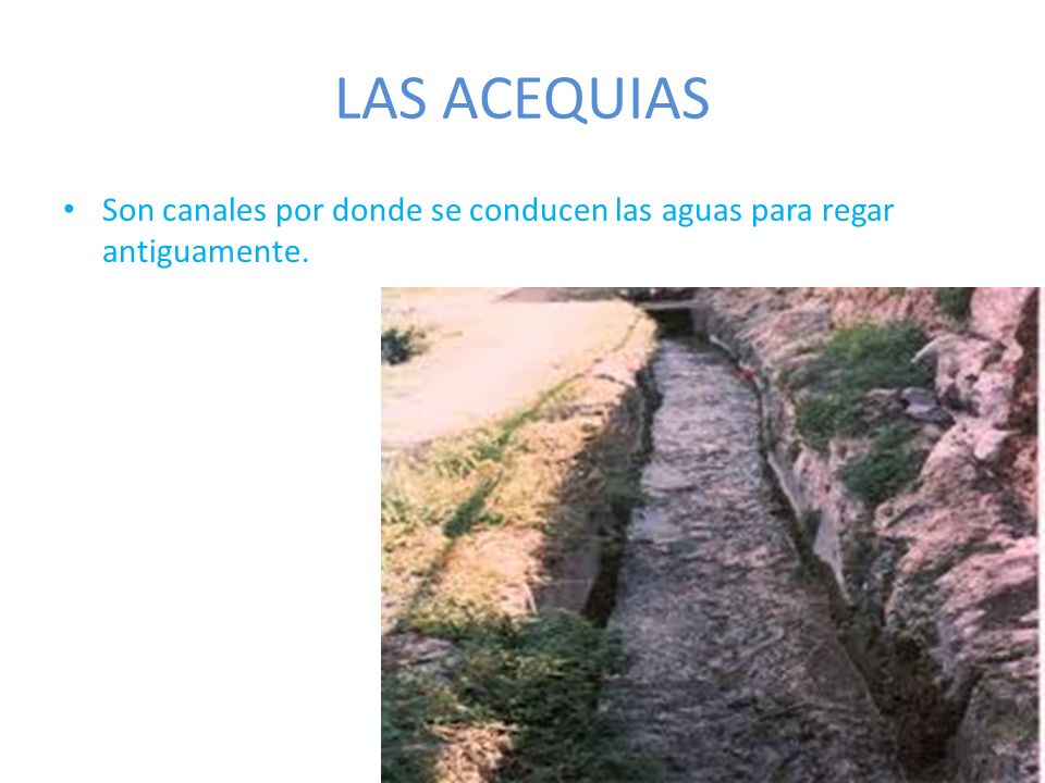 LAS ACEQUIAS Son canales por donde se conducen las aguas para regar antiguamente.