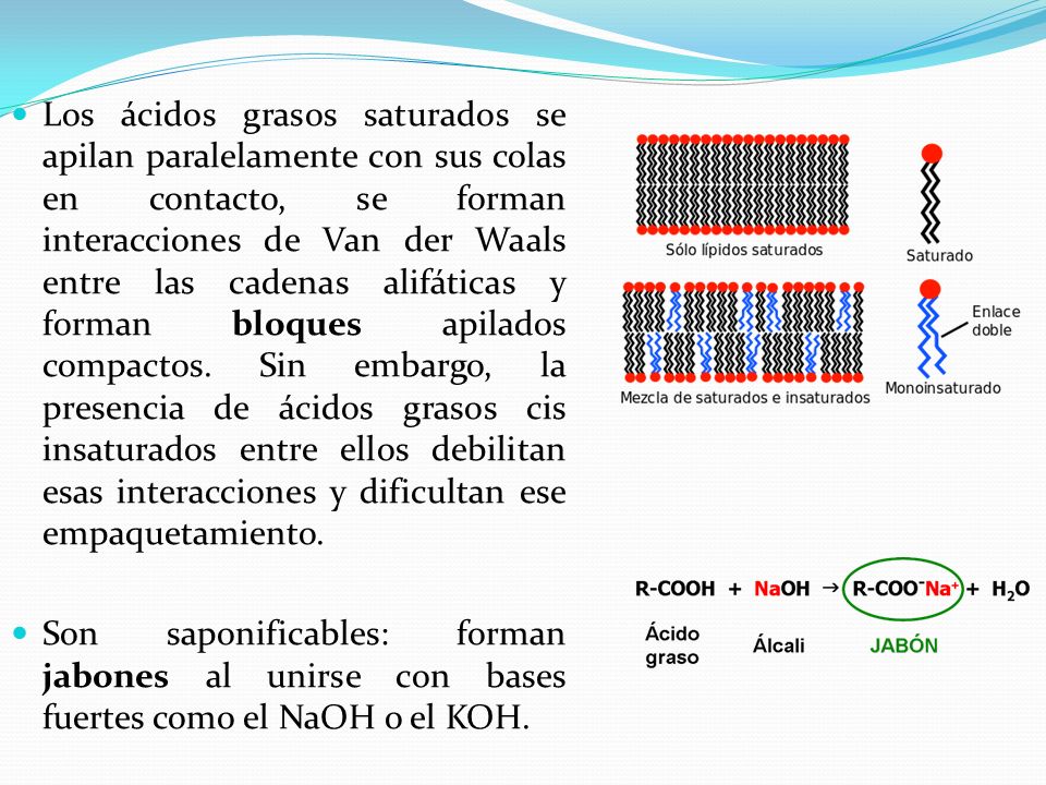 Los ácidos grasos saturados se apilan paralelamente con sus colas en contacto, se forman interacciones de Van der Waals entre las cadenas alifáticas y forman bloques apilados compactos. Sin embargo, la presencia de ácidos grasos cis insaturados entre ellos debilitan esas interacciones y dificultan ese empaquetamiento.