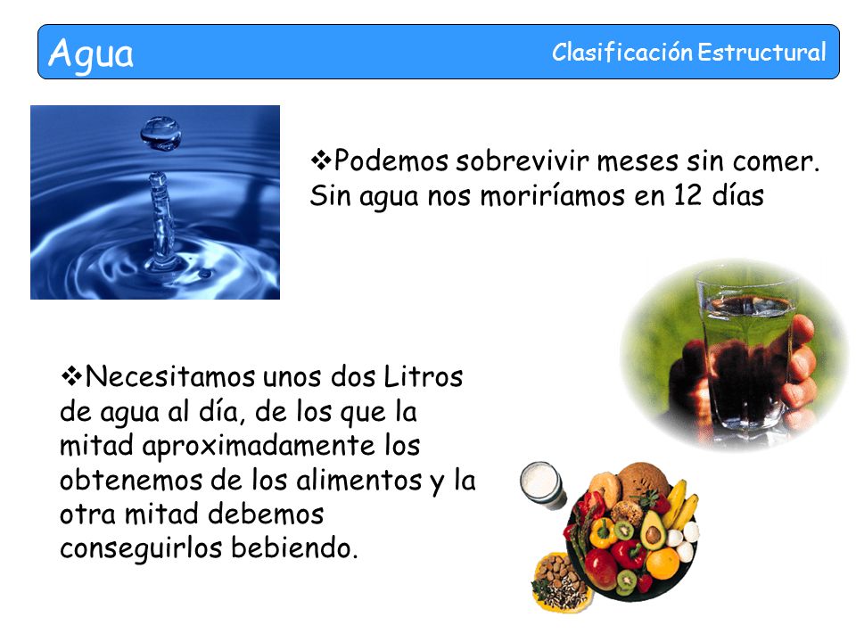 Agua Clasificación Estructural. Podemos sobrevivir meses sin comer. Sin agua nos moriríamos en 12 días.