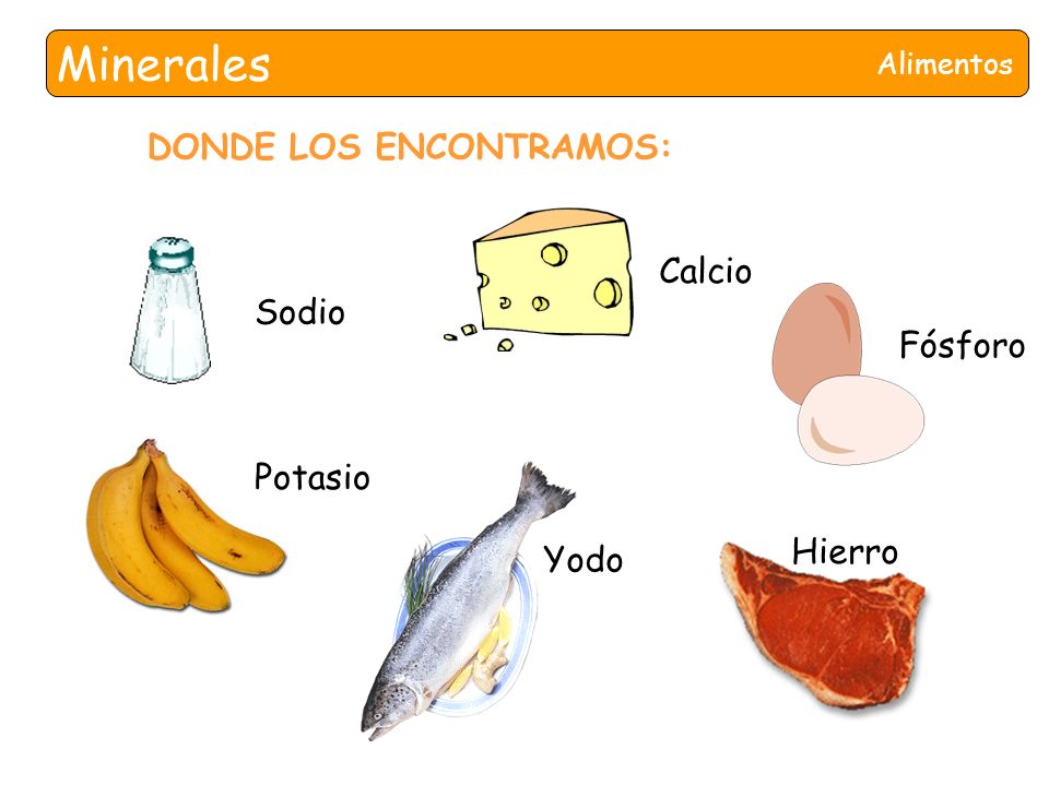 Minerales DONDE LOS ENCONTRAMOS: Calcio Sodio Fósforo Potasio Hierro