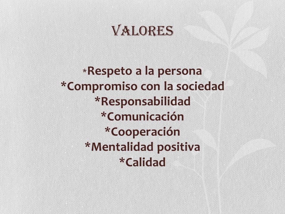 VALORES *Respeto a la persona *Compromiso con la sociedad *Responsabilidad *Comunicación *Cooperación *Mentalidad positiva *Calidad.