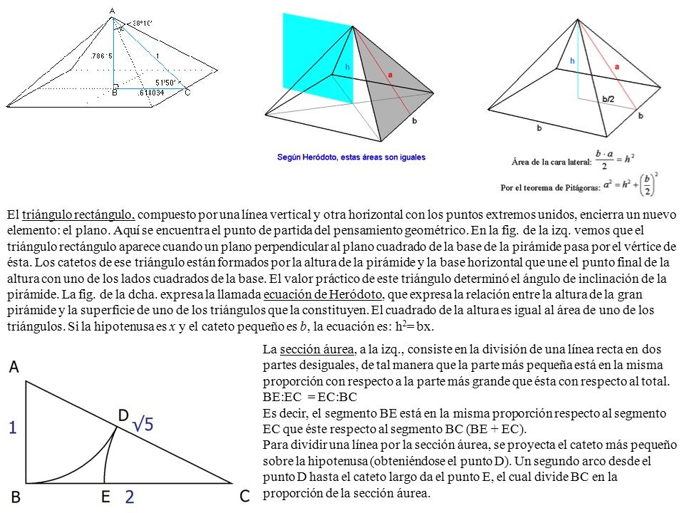 El triángulo rectángulo, compuesto por una línea vertical y otra horizontal con los puntos extremos unidos, encierra un nuevo elemento: el plano. Aquí se encuentra el punto de partida del pensamiento geométrico. En la fig. de la izq. vemos que el triángulo rectángulo aparece cuando un plano perpendicular al plano cuadrado de la base de la pirámide pasa por el vértice de ésta. Los catetos de ese triángulo están formados por la altura de la pirámide y la base horizontal que une el punto final de la altura con uno de los lados cuadrados de la base. El valor práctico de este triángulo determinó el ángulo de inclinación de la pirámide. La fig. de la dcha. expresa la llamada ecuación de Heródoto, que expresa la relación entre la altura de la gran pirámide y la superficie de uno de los triángulos que la constituyen. El cuadrado de la altura es igual al área de uno de los triángulos. Si la hipotenusa es x y el cateto pequeño es b, la ecuación es: h2= bx.