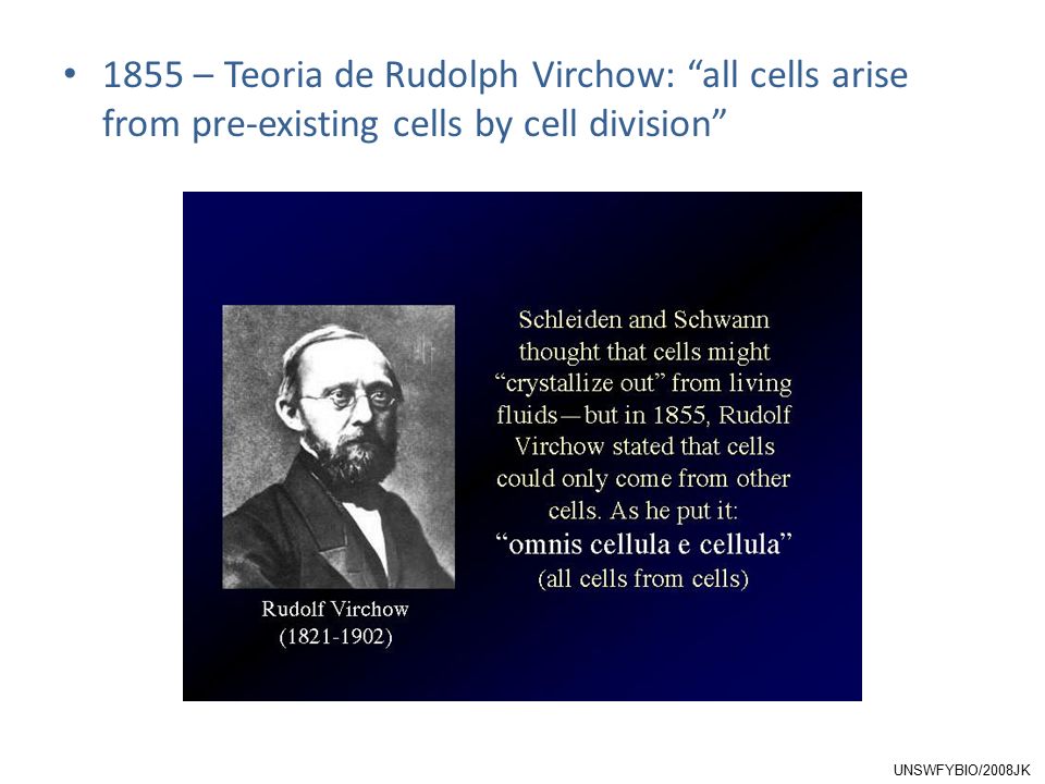 1855 – Teoria de Rudolph Virchow: all cells arise from pre-existing cells by cell division