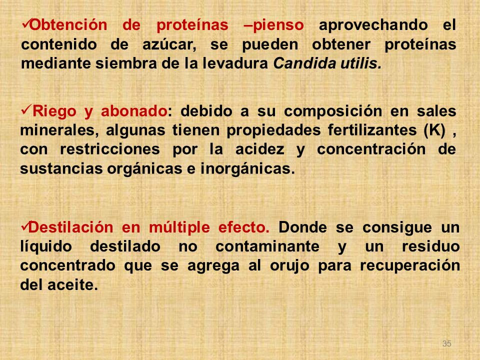 Obtención de proteínas –pienso aprovechando el contenido de azúcar, se pueden obtener proteínas mediante siembra de la levadura Candida utilis.