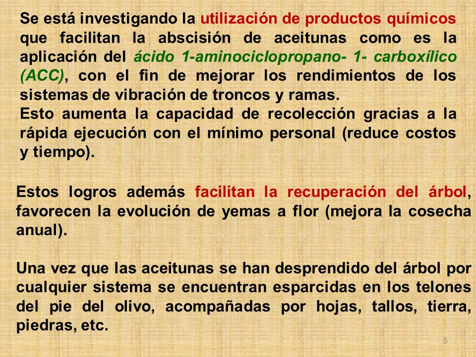 Se está investigando la utilización de productos químicos que facilitan la abscisión de aceitunas como es la aplicación del ácido 1-aminociclopropano- 1- carboxílico (ACC), con el fin de mejorar los rendimientos de los sistemas de vibración de troncos y ramas.