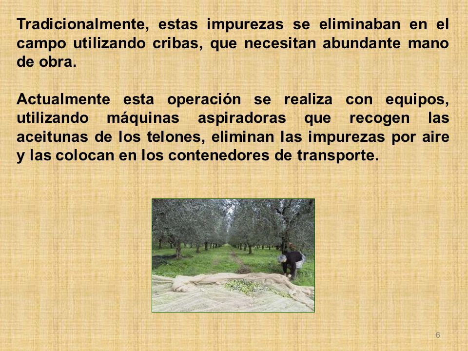 Tradicionalmente, estas impurezas se eliminaban en el campo utilizando cribas, que necesitan abundante mano de obra.