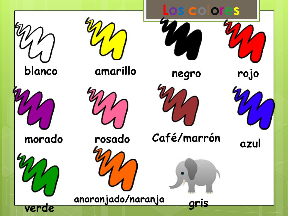 Los colores blanco amarillo negro rojo morado rosado Café/marrón azul