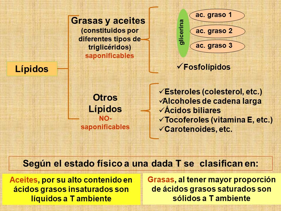 Según el estado físico a una dada T se clasifican en: