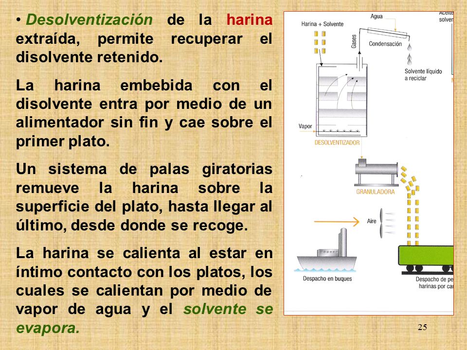 Desolventización de la harina extraída, permite recuperar el disolvente retenido.
