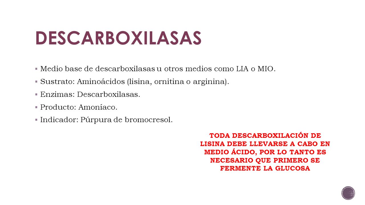 DESCARBOXILASAS Medio base de descarboxilasas u otros medios como LIA o MIO. Sustrato: Aminoácidos (lisina, ornitina o arginina).