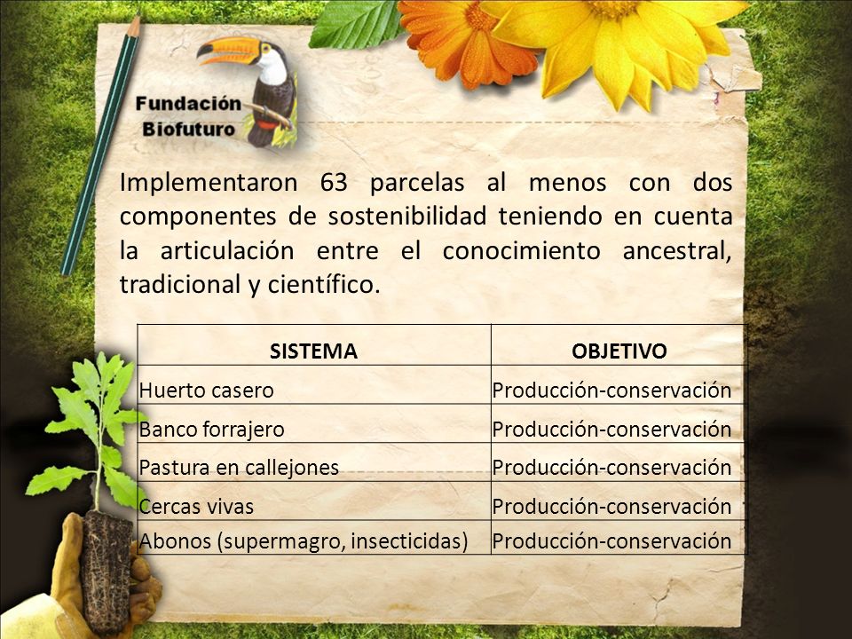 Implementaron 63 parcelas al menos con dos componentes de sostenibilidad teniendo en cuenta la articulación entre el conocimiento ancestral, tradicional y científico.