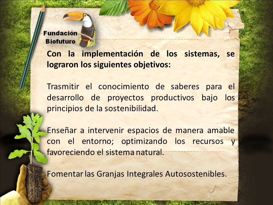 Con la implementación de los sistemas, se lograron los siguientes objetivos: