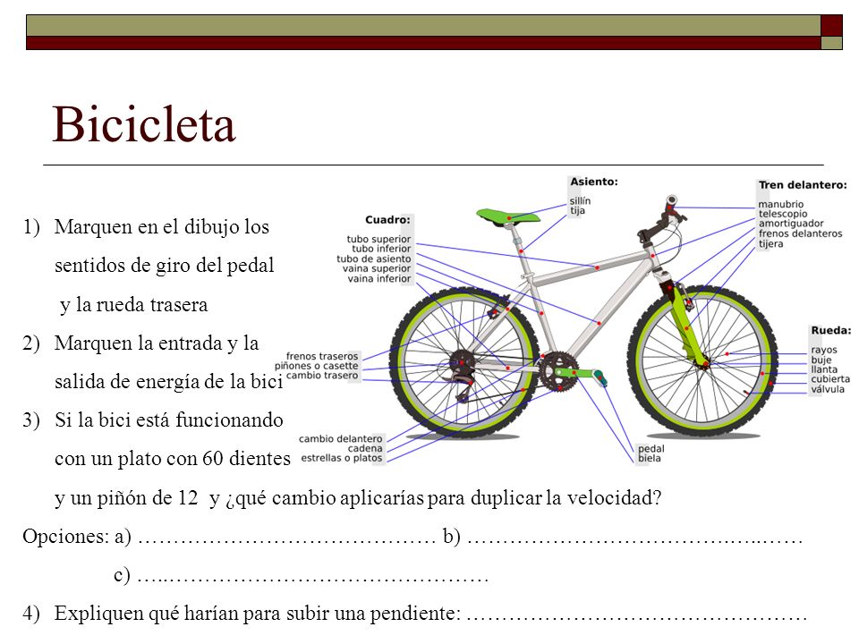 Bicicleta Marquen en el dibujo los sentidos de giro del pedal