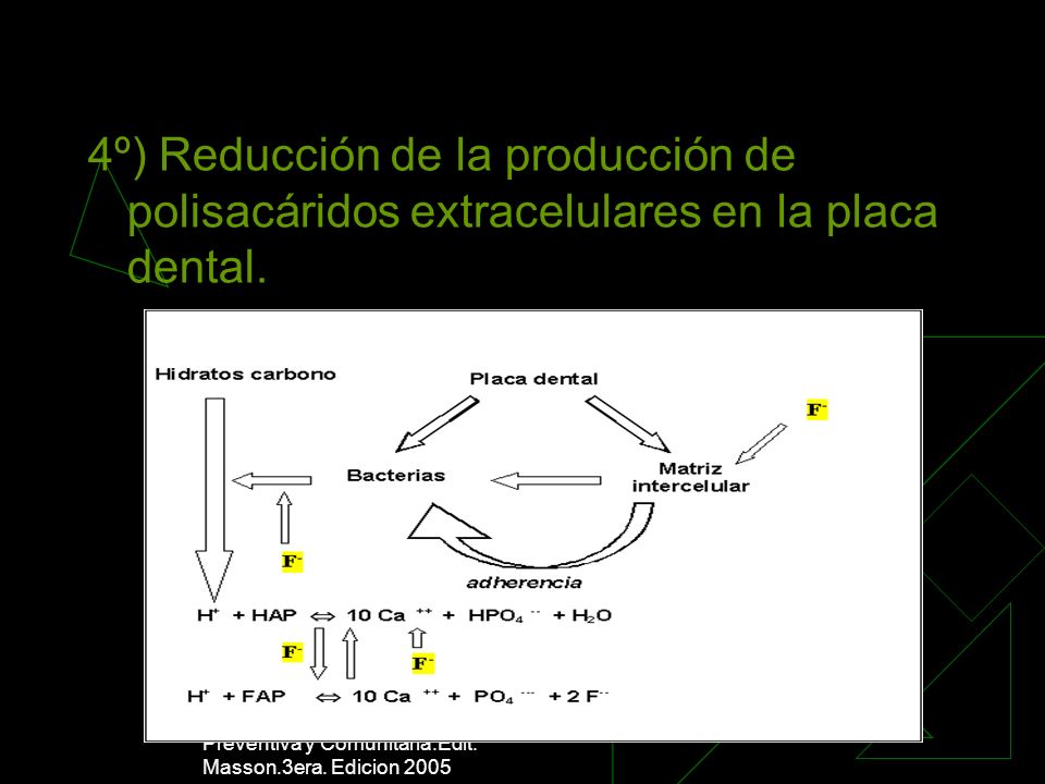 4º) Reducción de la producción de polisacáridos extracelulares en la placa dental.