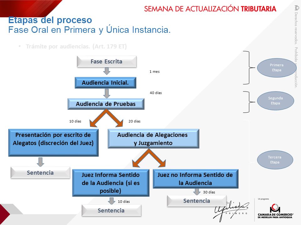 Etapas del proceso Fase Oral en Primera y Única Instancia.