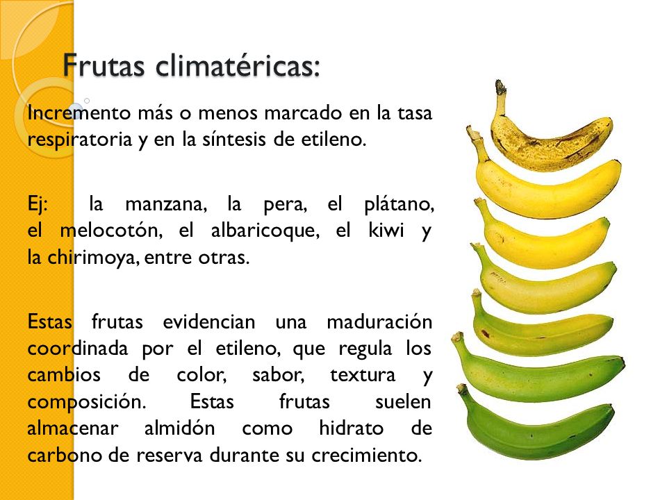 Frutas climatéricas: Incremento más o menos marcado en la tasa respiratoria y en la síntesis de etileno.