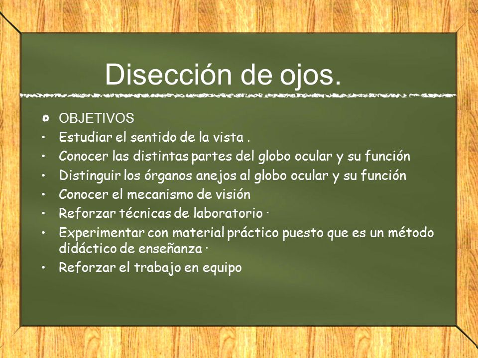 Disección de ojos. OBJETIVOS Estudiar el sentido de la vista .